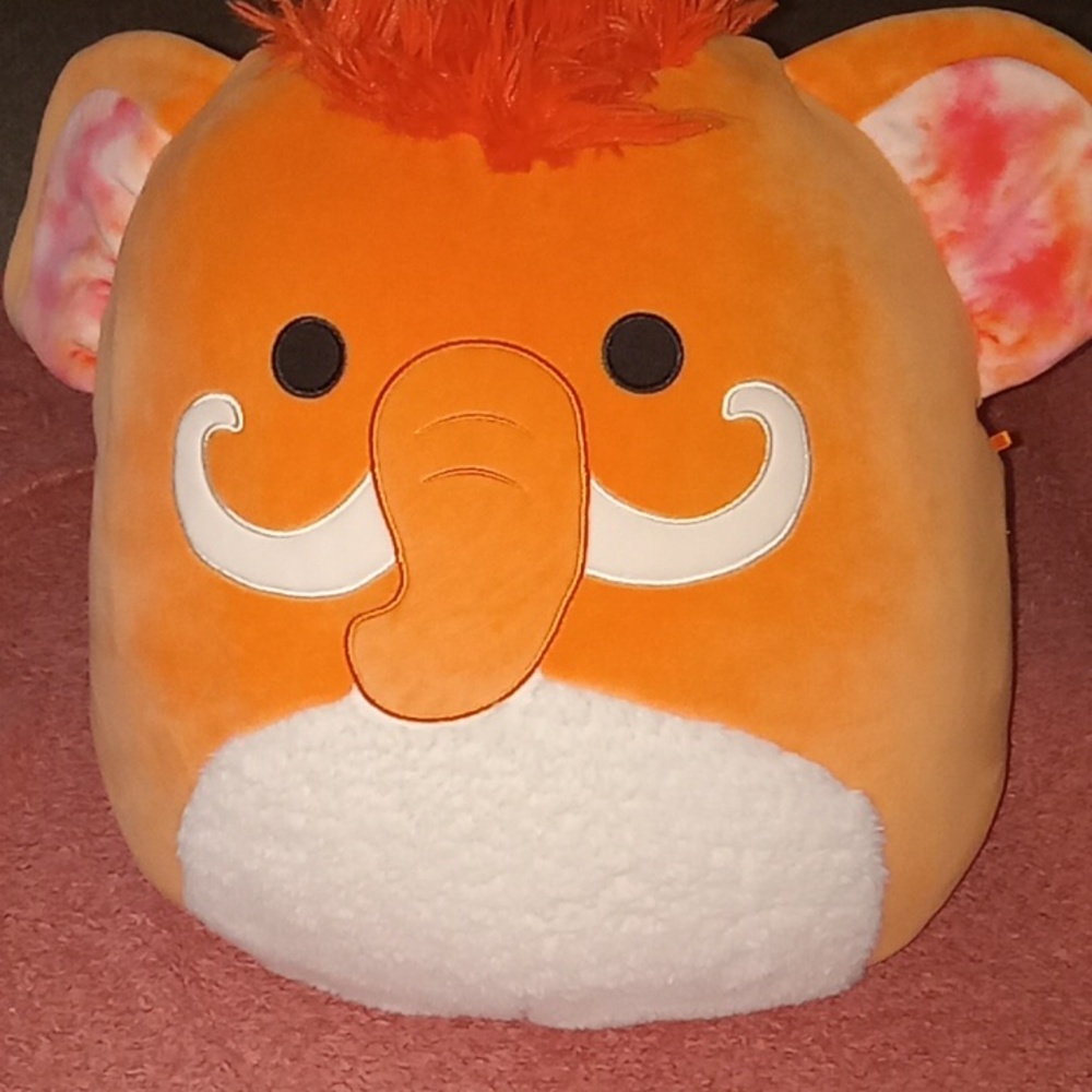 Squishmallows Wilbie 16in(notag)